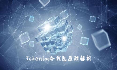 Tokenim冷钱包原理解析