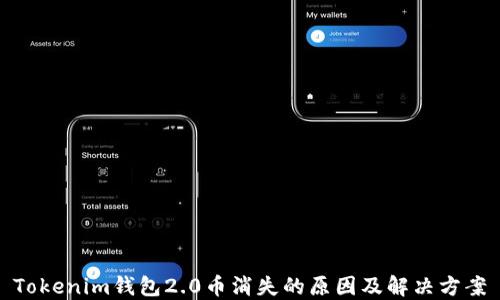 
Tokenim钱包2.0币消失的原因及解决方案