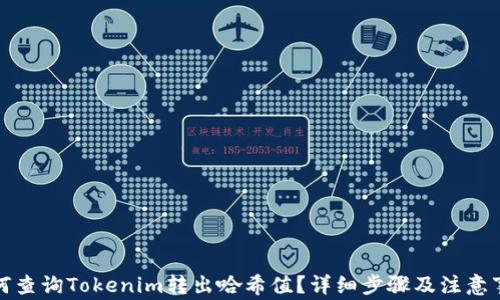 
如何查询Tokenim转出哈希值？详细步骤及注意事项