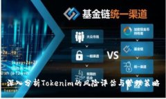 深入分析Tokenim的风险评估与管理策略
