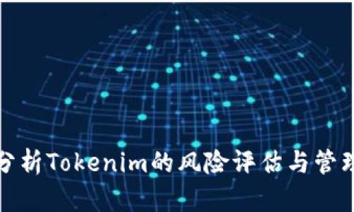 深入分析Tokenim的风险评估与管理策略