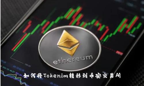 如何将Tokenim转移到币安交易所