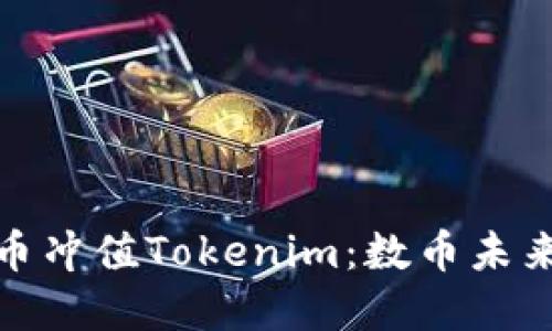 : 人民币冲值Tokenim：数币未来的桥梁