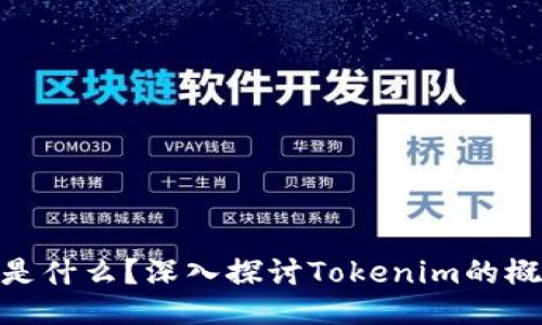Tokenim是什么？深入探讨Tokenim的概念与应用
