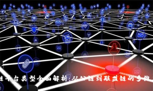 区块链平台类型全面解析：从公链到联盟链的多维度分析