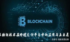 区块链技术在跨境支付平台中的应用与未来展望