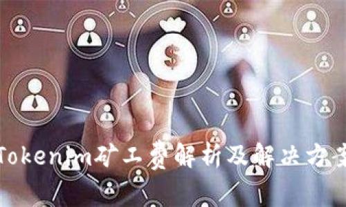 Tokenim矿工费解析及解决方案