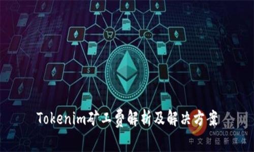 Tokenim矿工费解析及解决方案