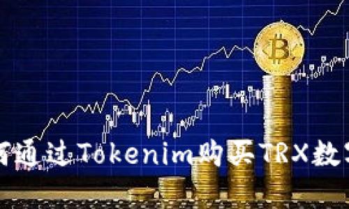 : 如何通过Tokenim购买TRX数字货币