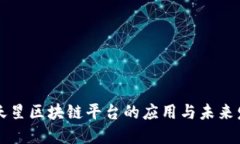 满天星区块链平台的应用与未来发展