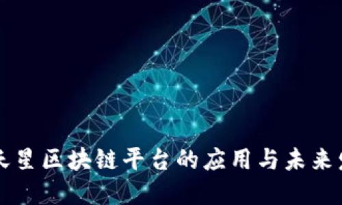 满天星区块链平台的应用与未来发展