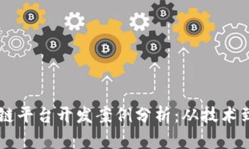 区块链平台开发案例分析：从技术到应用