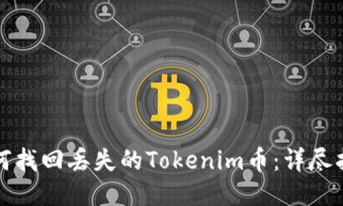 如何找回丢失的Tokenim币：详尽指南