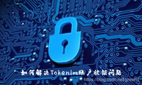 如何解决Tokenim账户被锁问题