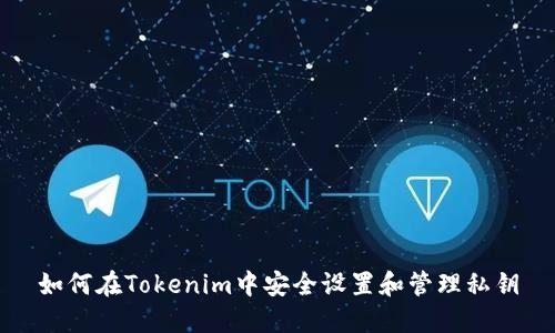 如何在Tokenim中安全设置和管理私钥