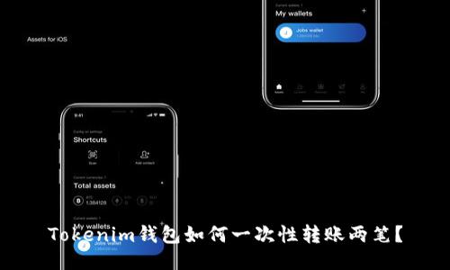 Tokenim钱包如何一次性转账两笔？