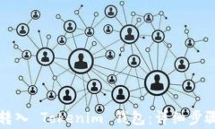 如何将货币转入 Tokenim 钱包：详细步骤与注意事