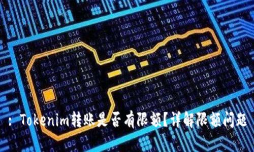 : Tokenim转账是否有限额？详解限额问题
