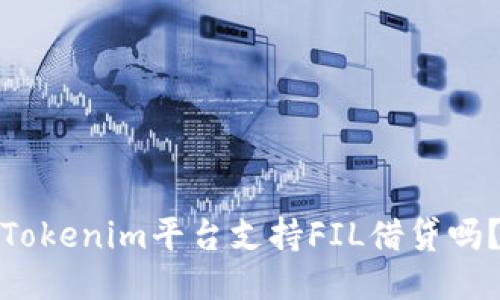 Tokenim平台支持FIL借贷吗？