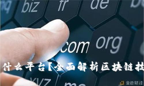 区块链项目是什么平台？全面解析区块链技术应用与潜力