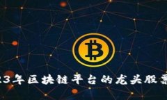  2023年区块链平台的龙头股票分析