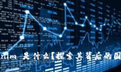 : Tokenim 是什么？探索其背后的国际背景