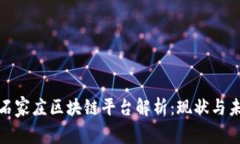 : 石家庄区块链平台解析：现状与未来