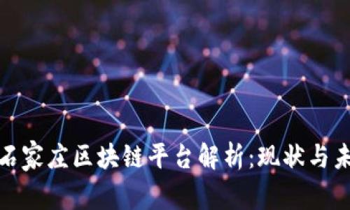 : 石家庄区块链平台解析：现状与未来