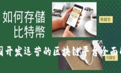 我国开发运营的区块链平台全面解析