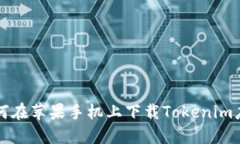 如何在苹果手机上下载Tokenim应用