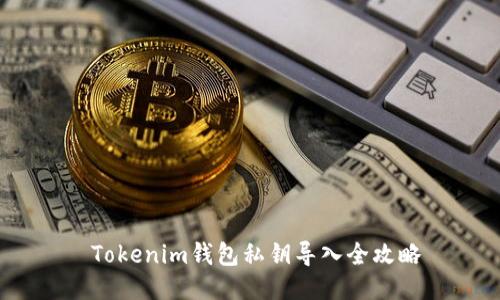   Tokenim钱包私钥导入全攻略 