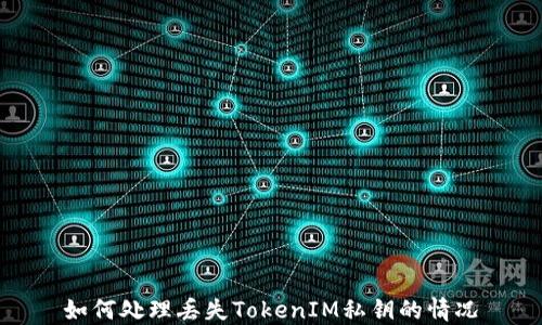 
如何处理丢失TokenIM私钥的情况