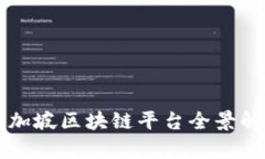 新加坡区块链平台全景解析