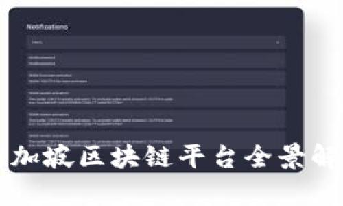 新加坡区块链平台全景解析