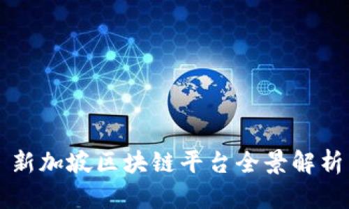 新加坡区块链平台全景解析