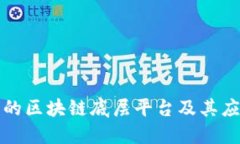 非金融的区块链底层平台及其应用探讨