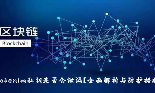 Tokenim私钥是否会泄漏？全面解析与防护措施