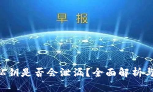 Tokenim私钥是否会泄漏？全面解析与防护措施