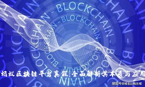 蚂蚁区块链平台真假：全面解析其本质与应用