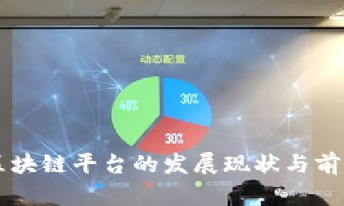 青海区块链平台的发展现状与前景分析