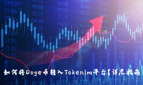 如何将Doge币转入Tokenim平台？详尽指南