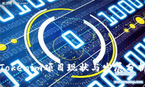 Tokenim项目现状与发展分析