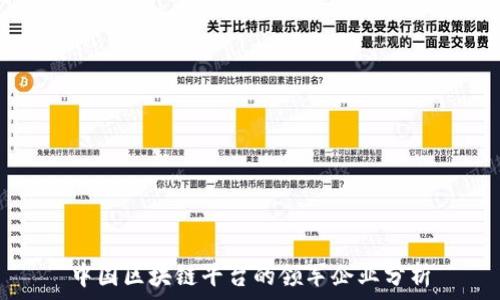   
中国区块链平台的领军企业分析
