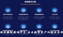 中国区块链存储平台：未来数字资产的安全与便