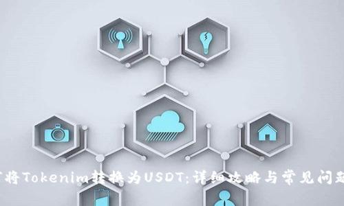  如何将Tokenim转换为USDT：详细攻略与常见问题解答