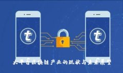 大平台区块链产业的现状与未来展望