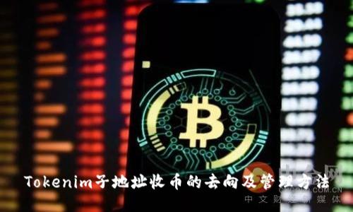 Tokenim子地址收币的去向及管理方法