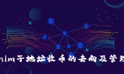 Tokenim子地址收币的去向及管理方法