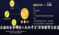 区块链适合哪些人玩的平台：全面解析与推荐