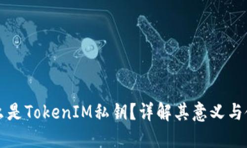 什么是TokenIM私钥？详解其意义与使用